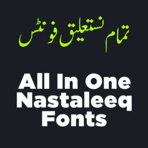 NASTALEEQ URDU FONTS